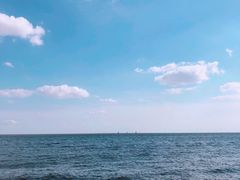 -碧海金沙