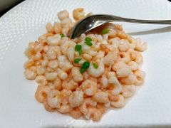 -新南华大酒店(广中店)