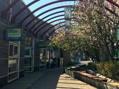 -天津东丽湖风景区