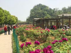 -幕燕滨江·长江观音景区