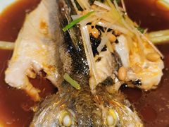 蒸海鲈鱼-蓝珊瑚蒸汽海鲜餐厅(龙奥店)