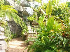 -国家植物园南园