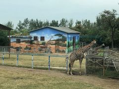 -西安秦岭野生动物园