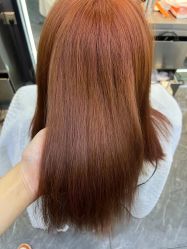 -藤野造型