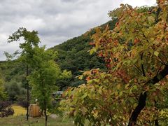 -参仙谷生态旅游度假区