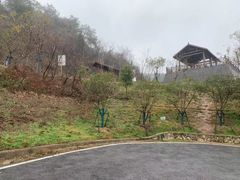 -青龙山国家森林公园