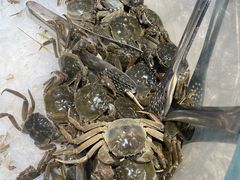 -圣罗巴甄选自助(麦凯乐店)