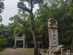 -灵谷景区