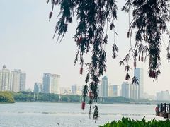 -南宁南湖公园