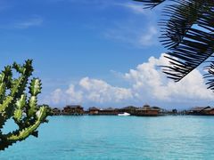 -卡帕莱度假村(西巴丹岛)