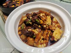 -三强鸽子(中原路店)