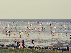-南汇新城海滩