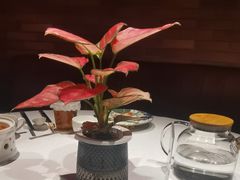 -皇冠明珠鱼翅楼(水上公园店)