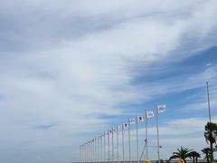 -碧海金沙