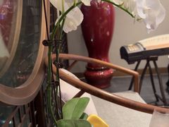 -蘇锦宴·淮扬菜烤鸭·小院(三元桥霄云路店)