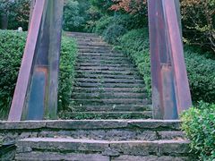 -杭州半山国家森林公园