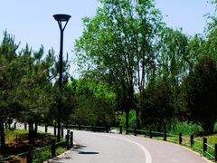-马家湾湿地公园