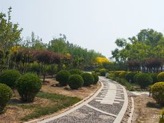 -东疆建设开发纪念公园