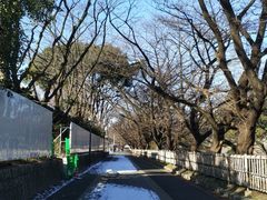 -名古屋城