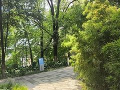 -成都市活水公园
