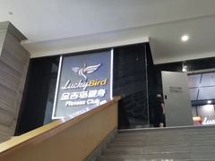 -金吉鸟健身游泳