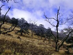 -秦岭风景区