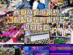 -越秀西湖花市(广州城市广场花卉店)