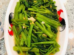 菜心-潮汕铺老店(甜水井店)