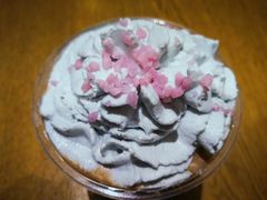 -星巴克(远洋店)