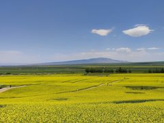 -扁都口生态休闲旅游区