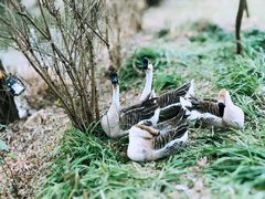 -天目湖涵田半山温泉