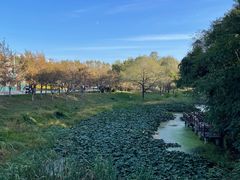 -沈阳植物园