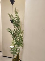 -四七美学·半永久纹眉