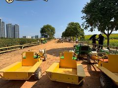 -光明小镇欢乐田园