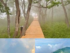 -白草畔自然风景区