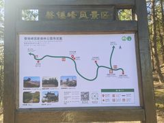 -磬锤峰森林公园