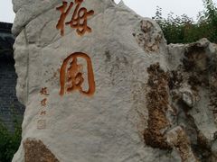-梅园
