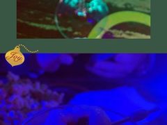 -MOSSO音乐酒吧·Live House(南京西路店)