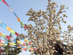 -西安市广仁寺