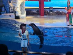 -三亚海昌梦幻海洋不夜城