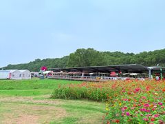 -嘉北郊野公园