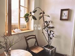 -春风十里咖啡馆