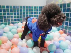 -太阳岛度假酒店