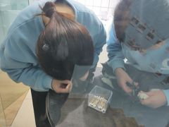-老吴的猫·猫舍(新区店)