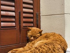 -思南公馆商业街