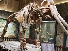 -白帝城·瞿塘峡景区