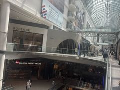 -多伦多伊顿中心