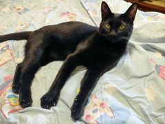 -爱侣宠医·鹦鹉专科·小型哺乳类·异宠专科(灵石路店)