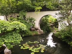 -上海醉白池公园