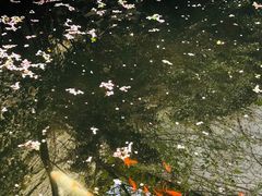 -胡雪岩故居
